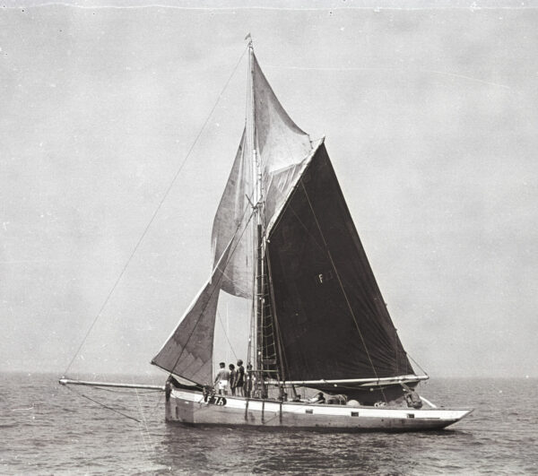 Gamecock Under Sail