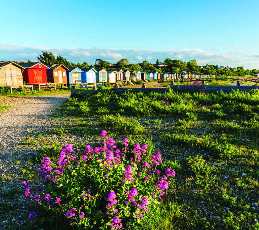 Highlight 8: The beach route runs parallel to the accessible option along Island Wall